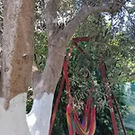 Tonia&sion * Vlorë