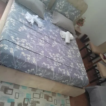 Tonia&sion Guest house *