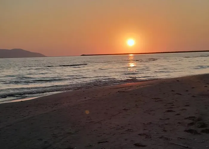 Tonia&sion * Vlore
